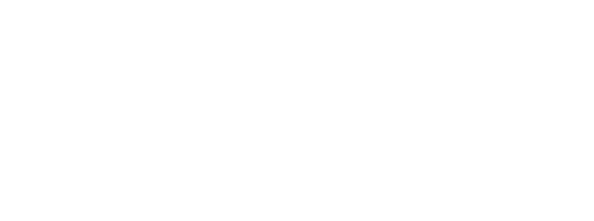 Stonebrook Media Logo - Reversed